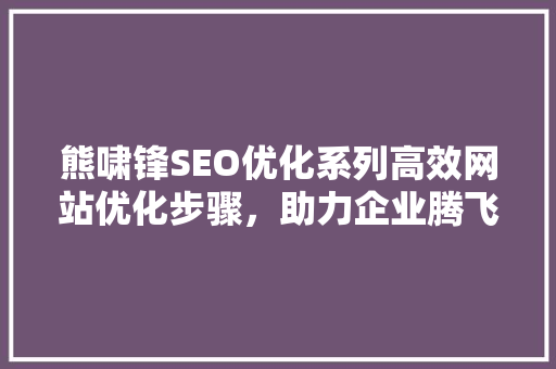 熊啸锋SEO优化系列高效网站优化步骤，助力企业腾飞