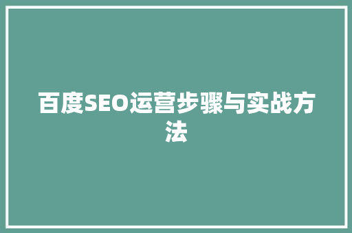 百度SEO运营步骤与实战方法