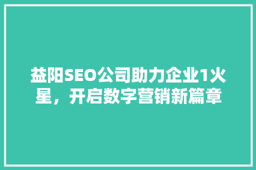 益阳SEO公司助力企业1火星，开启数字营销新篇章