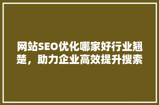 网站SEO优化哪家好行业翘楚，助力企业高效提升搜索引擎排名