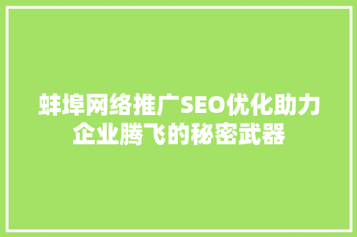 蚌埠网络推广SEO优化助力企业腾飞的秘密武器