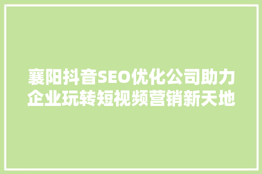 襄阳抖音SEO优化公司助力企业玩转短视频营销新天地