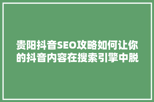 贵阳抖音SEO攻略如何让你的抖音内容在搜索引擎中脱颖而出