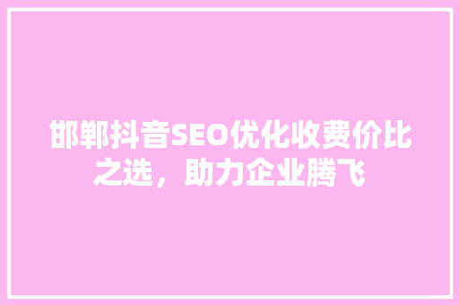 邯郸抖音SEO优化收费价比之选，助力企业腾飞