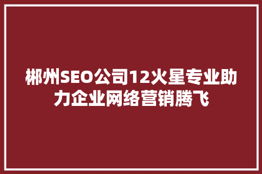 郴州SEO公司12火星专业助力企业网络营销腾飞