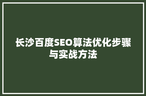 长沙百度SEO算法优化步骤与实战方法