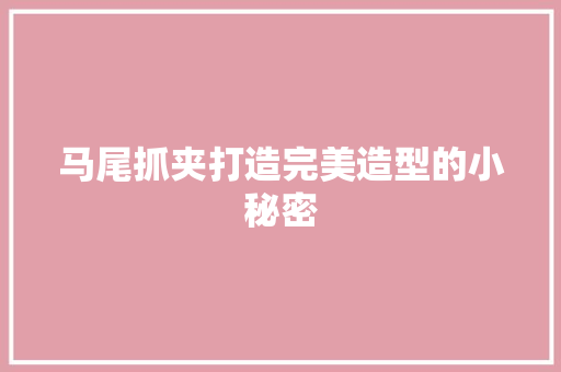 马尾抓夹打造完美造型的小秘密