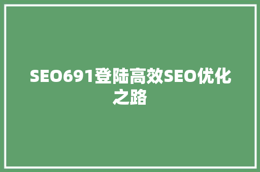 SEO691登陆高效SEO优化之路  第1张