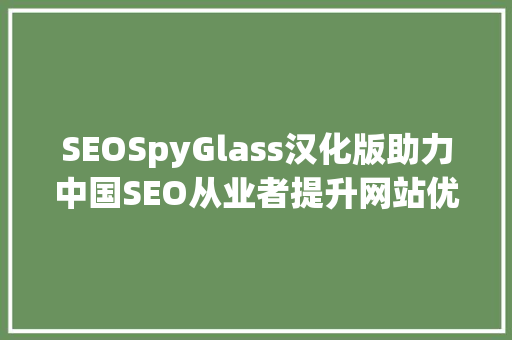SEOSpyGlass汉化版助力中国SEO从业者提升网站优化效果