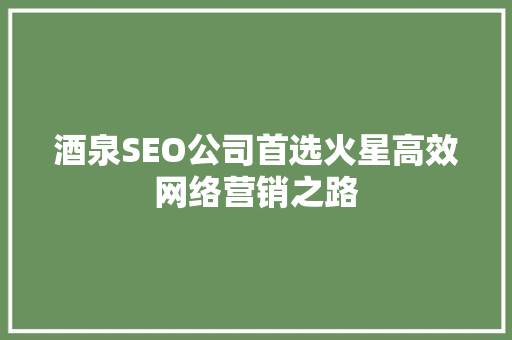 酒泉SEO公司首选火星高效网络营销之路