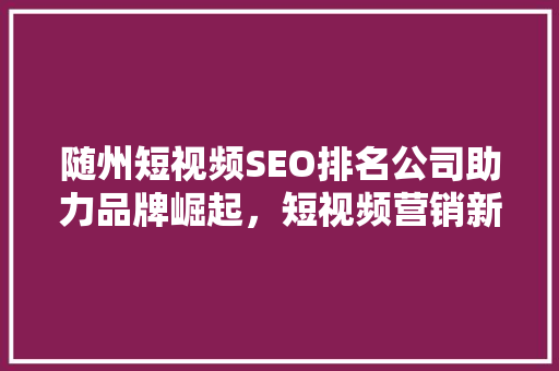 随州短视频SEO排名公司助力品牌崛起，短视频营销新趋势