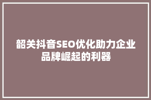 韶关抖音SEO优化助力企业品牌崛起的利器