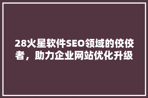 28火星软件SEO领域的佼佼者，助力企业网站优化升级