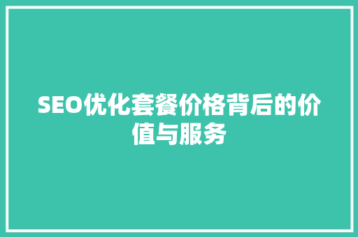 SEO优化套餐价格背后的价值与服务