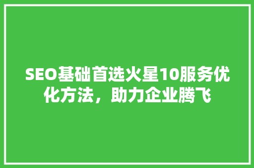 SEO基础首选火星10服务优化方法，助力企业腾飞