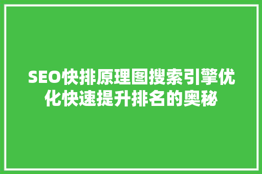 SEO快排原理图搜索引擎优化快速提升排名的奥秘
