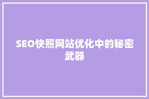 SEO快照网站优化中的秘密武器