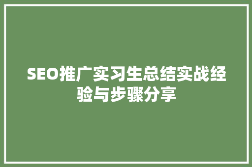 SEO推广实习生总结实战经验与步骤分享