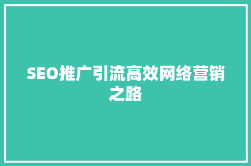 SEO推广引流高效网络营销之路