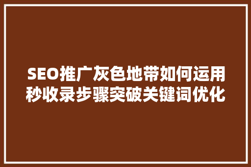 SEO推广灰色地带如何运用秒收录步骤突破关键词优化瓶颈