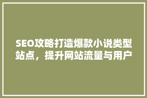 SEO攻略打造爆款小说类型站点，提升网站流量与用户粘
