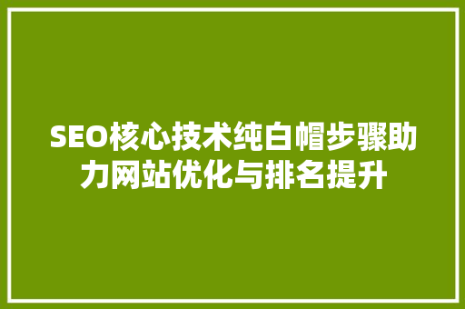 SEO核心技术纯白帽步骤助力网站优化与排名提升