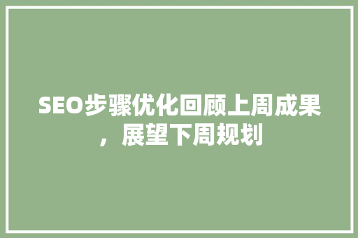 SEO步骤优化回顾上周成果，展望下周规划