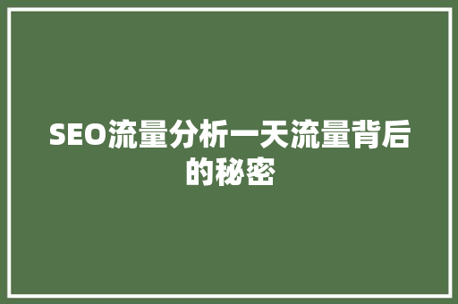 SEO流量分析一天流量背后的秘密