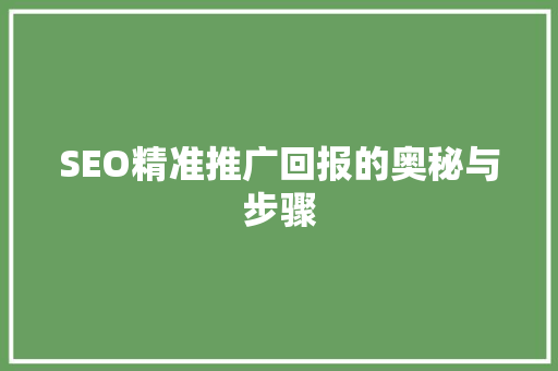 SEO精准推广回报的奥秘与步骤