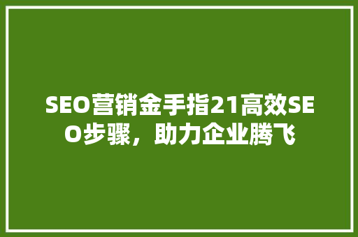 SEO营销金手指21高效SEO步骤，助力企业腾飞