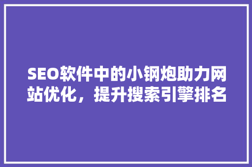 SEO软件中的小钢炮助力网站优化，提升搜索引擎排名的利器  第1张