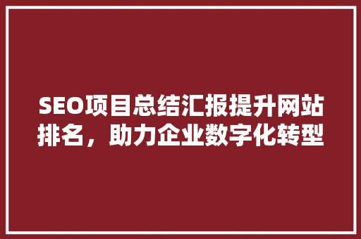 SEO项目总结汇报提升网站排名，助力企业数字化转型
