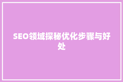 SEO领域探秘优化步骤与好处