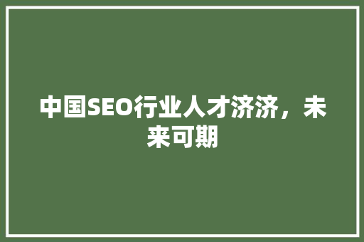 中国SEO行业人才济济，未来可期
