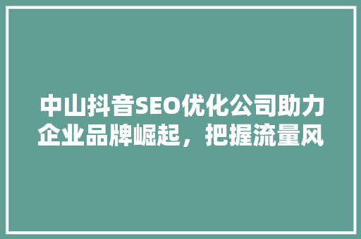 中山抖音SEO优化公司助力企业品牌崛起，把握流量风口