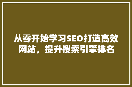 从零开始学习SEO打造高效网站，提升搜索引擎排名