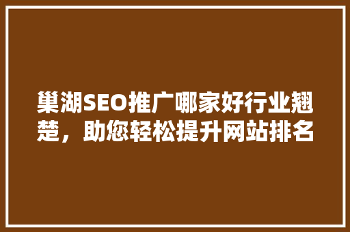 巢湖SEO推广哪家好行业翘楚，助您轻松提升网站排名