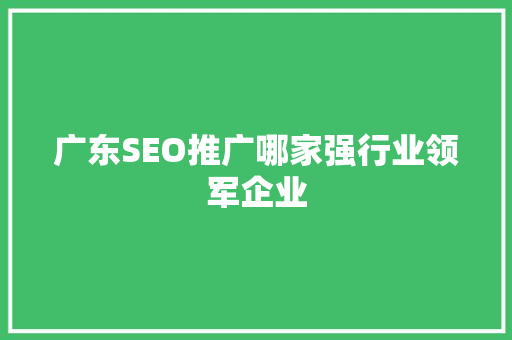 广东SEO推广哪家强行业领军企业