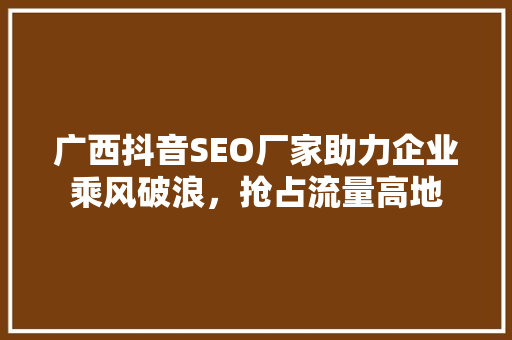 广西抖音SEO厂家助力企业乘风破浪，抢占流量高地