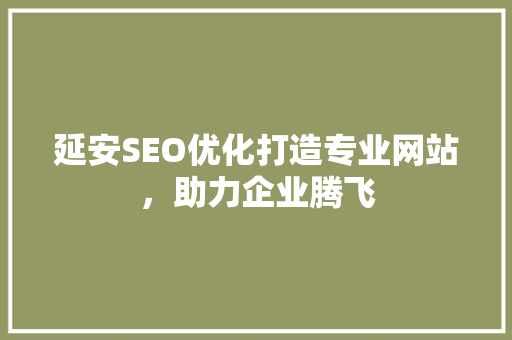 延安SEO优化打造专业网站，助力企业腾飞