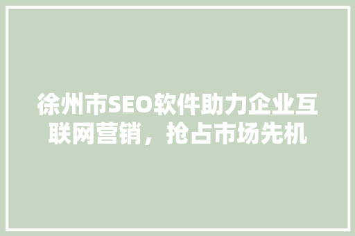 徐州市SEO软件助力企业互联网营销，抢占市场先机