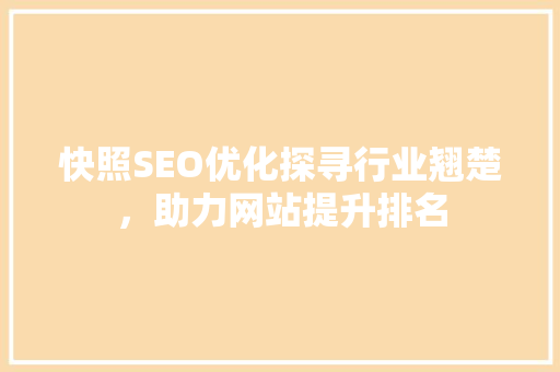快照SEO优化探寻行业翘楚，助力网站提升排名