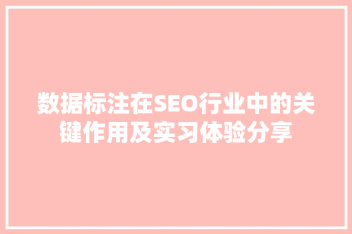 数据标注在SEO行业中的关键作用及实习体验分享