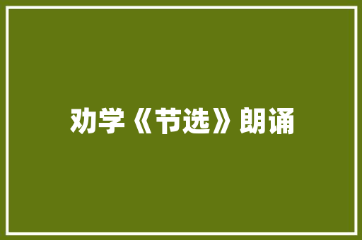 JavaScript在线客服构建高效互动体验的关键技术