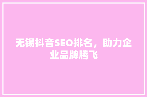 无锡抖音SEO排名，助力企业品牌腾飞
