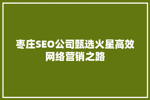 枣庄SEO公司甄选火星高效网络营销之路
