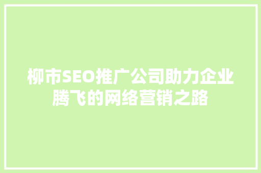 柳市SEO推广公司助力企业腾飞的网络营销之路