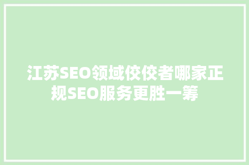 江苏SEO领域佼佼者哪家正规SEO服务更胜一筹