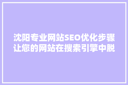 沈阳专业网站SEO优化步骤让您的网站在搜索引擎中脱颖而出