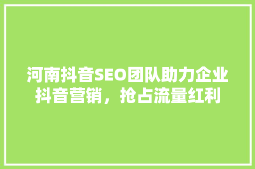 河南抖音SEO团队助力企业抖音营销，抢占流量红利